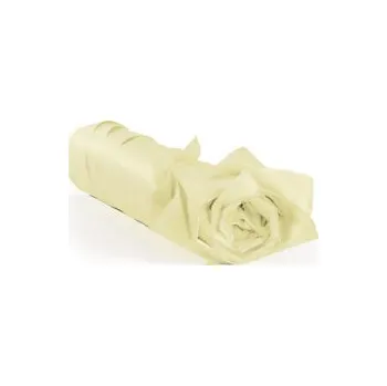 Kancelářský papír Hedvábný papír v balení, 50x75cm, krémový | RAJA - Balení po 1 ks