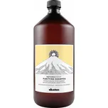 Davines Naturaltech Purifying Shampoo…