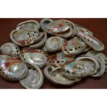 Abalone small 1 kg
