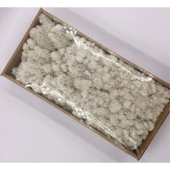 umělá květina Islandský stabilizovaný, preparovaný mech 500gr natural