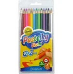TEMPUS Pastelky školní 0313 - 14 ks