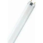 Osram 36W G13 studená bílá