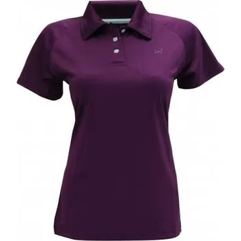 Dámské tričko 2117 of Sweden Dámské polo triko Frosaker Golf Piquet Barva: Plum, Velikost: 34