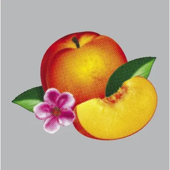 Zahraniční hudba Phoenix : Bankrupt! CD