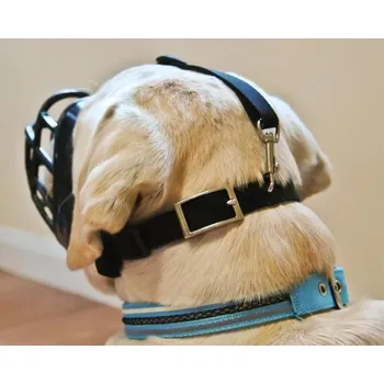 Náhubek pro psa The Company of Animals Náhubek Baskerville Ultra vel.2