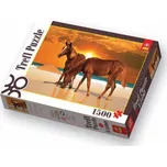 Trefl Koně na pláži 1500 dílků