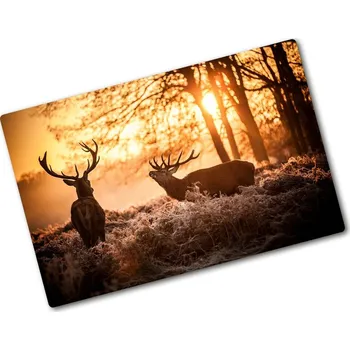 Kuchyňské prkénko Kuchyňská deska skleněná Jelen východ