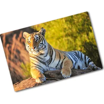 Kuchyňské prkénko Kuchyňská deska skleněná Portrét tygra
