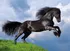 Puzzle Clementoni Černý fríský kůň 500 dílků