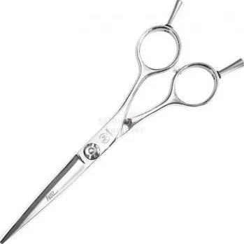 Kadeřnické nůžky Salon Komplet Nůžky Akitz GL-MPI-55 Silver