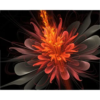 Obraz Malvis Obraz Oranžový květ Velikost (šířka x výška): 60x40 cm