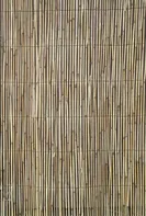 Levior Reedcane rohož rákosová 1,5 x 5 m 