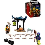 LEGO Ninjago Cole vs. přízračný válečník