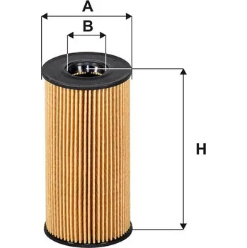 Autodíl Olejový filtr FILTRON OE 666/5