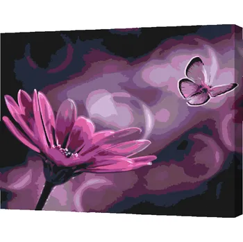 Malování podle čísel - Motýl a gerbera Velikost: 40x50cm, Rámování: Pouze srolované plátno