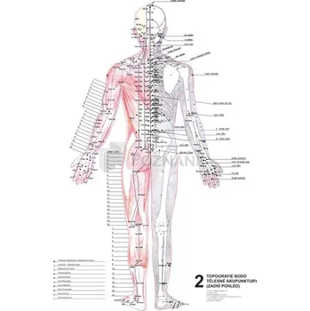 Plakát Mapy - topografie bodů tělesné akupunktury 3 ks - plakáty jsou o rozměrech 47 x 63 cm