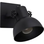 Eglo Barnstaple 1 43431