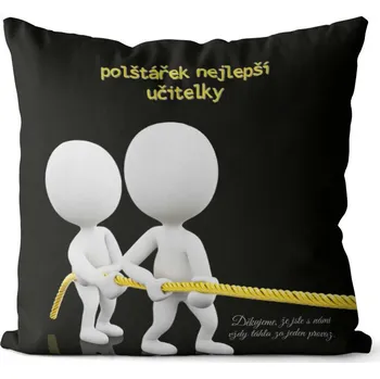 Dekorativní polštářek Polštář Za jeden provaz – učitelka (Velikost: 40 x 40 cm)