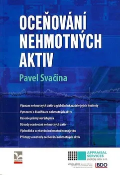 Oceňování nehmotných aktiv - Pavel Svačina (2010, brožovaná)