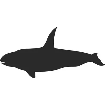 Samolepící dekorace SI0115197B - Kosatka - 100 x 105 mm doleva