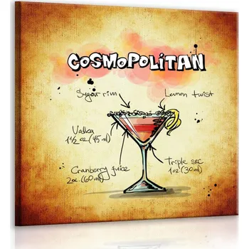 Obraz Malvis ® Obraz cedule Cosmopolitan Velikost (šířka x výška): 30x30 cm
