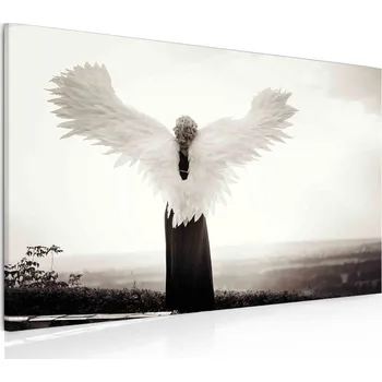 Malvis ® Obraz na stěnu Anděl Velikost: 90x60 cm