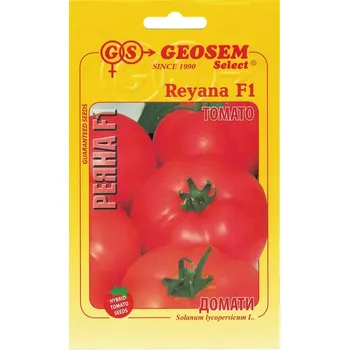 Semeno Geosem Reyana F1 rajče tyčkové 0,1 g