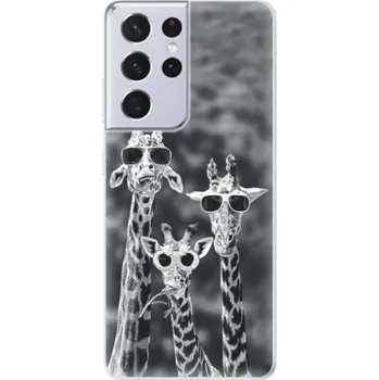 Pouzdro na mobilní telefon Odolné silikonové pouzdro iSaprio - Sunny Day - Samsung Galaxy S21 Ultra