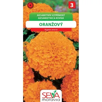 Semeno Aksamitník vzpřímený nízký - oranžový