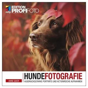 Hundefotografie - Geier, Anne