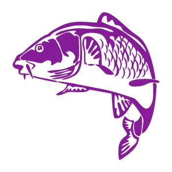 Polep vozidla SAMOLEPKA Kapr 010 levá (14 - fialová) NA AUTO, NÁLEPKA, FÓLIE, POLEP, TUNING, VLASTNÍ TEXT, TISK, AUTOSAMOLEPKY.cz, POLEPY, OBRÁZEK, LOGO, SAMOLEPKY