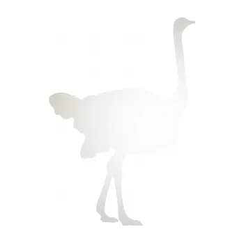 Samolepící dekorace Pštros 001 pravá (82 - odrazková reflexní bílá) SAMOLEPKA NA AUTO, NÁLEPKA, FÓLIE, POLEP, TUNING, VLASTNÍ TEXT, TISK, AUTOSAMOLEPKY.cz, POLEPY, OBRÁZEK, LOGO, 3D STICKERS