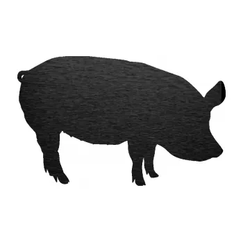Samolepící dekorace SAMOLEPKA Prase 001 pravá (63 - škrábaný kov černý) NA AUTO, NÁLEPKA, FÓLIE, POLEP, TUNING, VLASTNÍ TEXT, TISK, AUTOSAMOLEPKY.cz, POLEPY, OBRÁZEK, LOGO, SAMOLEPKY
