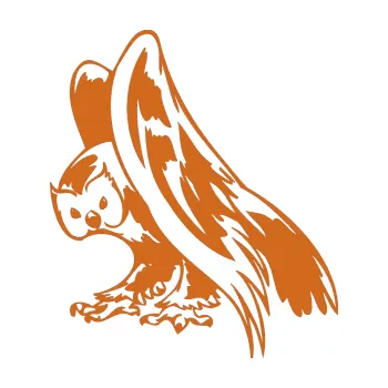 Samolepicí dekorace na vozidlo Predators 097 levá sova (26 - oříšková) SAMOLEPKA NA AUTO, NÁLEPKA, FÓLIE, POLEP, TUNING, VLASTNÍ TEXT, TISK, AUTOSAMOLEPKY.cz, POLEPY, OBRÁZEK, LOGO, 3D STICKERS