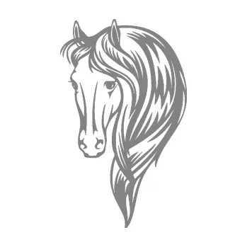 Samolepící dekorace SAMOLEPKA Kůň 064 levá s hřívou (17 - šedá) NA AUTO, NÁLEPKA, FÓLIE, POLEP, TUNING, VLASTNÍ TEXT, TISK, AUTOSAMOLEPKY.cz, POLEPY, OBRÁZEK, LOGO, SAMOLEPKY