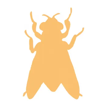 Samolepící dekorace SAMOLEPKA Moucha 001 (08 - béžová) NA AUTO, NÁLEPKA, FÓLIE, POLEP, TUNING, VLASTNÍ TEXT, TISK, AUTOSAMOLEPKY.cz, POLEPY, OBRÁZEK, LOGO, SAMOLEPKY