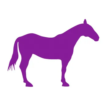 Samolepící dekorace Kůň 005 pravá (14 - fialová) SAMOLEPKA NA AUTO, NÁLEPKA, FÓLIE, POLEP, TUNING, VLASTNÍ TEXT, TISK, AUTOSAMOLEPKY.cz, POLEPY, OBRÁZEK, LOGO, 3D STICKERS