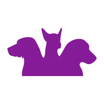 Polep vozidla SAMOLEPKA Psi 001 pravá skupinka (14 - fialová) NA AUTO, NÁLEPKA, FÓLIE, POLEP, TUNING, VLASTNÍ TEXT, TISK, AUTOSAMOLEPKY.cz, POLEPY, OBRÁZEK, LOGO, SAMOLEPKY