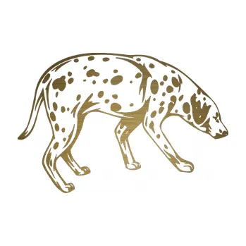 Polep vozidla SAMOLEPKA Pes 001 pravá Dalmatin (64 - škrábaný kov zlatý) NA AUTO, NÁLEPKA, FÓLIE, POLEP, TUNING, VLASTNÍ TEXT, TISK, AUTOSAMOLEPKY.cz, POLEPY, OBRÁZEK, LOGO, SAMOLEPKY