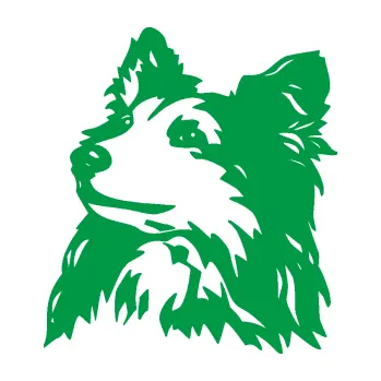 Polep vozidla Pes 141 levá šeltie (12 - zelená) SAMOLEPKA NA AUTO, NÁLEPKA, FÓLIE, POLEP, TUNING, VLASTNÍ TEXT, TISK, AUTOSAMOLEPKY.cz, POLEPY, OBRÁZEK, LOGO, 3D STICKERS