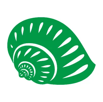 Samolepící dekorace Mušle 004 pravá ulita (12 - zelená) SAMOLEPKA NA AUTO, NÁLEPKA, FÓLIE, POLEP, TUNING, VLASTNÍ TEXT, TISK, AUTOSAMOLEPKY.cz, POLEPY, OBRÁZEK, LOGO, 3D STICKERS