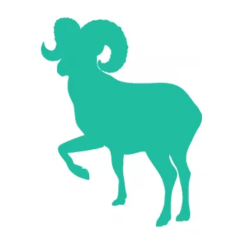 Samolepící dekorace SAMOLEPKA Muflon 002 levá (25 - tyrkysová) NA AUTO, NÁLEPKA, FÓLIE, POLEP, TUNING, VLASTNÍ TEXT, TISK, AUTOSAMOLEPKY.cz, POLEPY, OBRÁZEK, LOGO, SAMOLEPKY