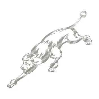 samolepka Pes 022 levá Pudl (52 - 3D karbon stříbrný) SAMOLEPKA NA AUTO, NÁLEPKA, FÓLIE, POLEP, TUNING, VLASTNÍ TEXT, TISK, AUTOSAMOLEPKY.cz, POLEPY, OBRÁZEK, LOGO, 3D STICKERS