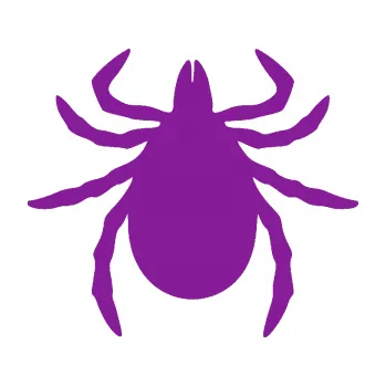 Samolepící dekorace Klíště 001 (14 - fialová) SAMOLEPKA NA AUTO, NÁLEPKA, FÓLIE, POLEP, TUNING, VLASTNÍ TEXT, TISK, AUTOSAMOLEPKY.cz, POLEPY, OBRÁZEK, LOGO, 3D STICKERS