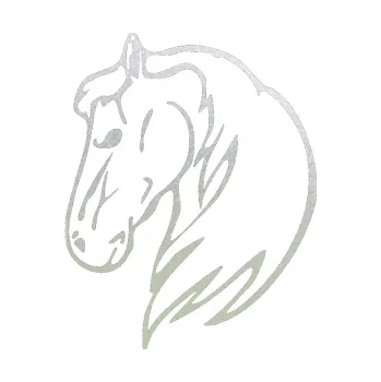 Samolepící dekorace Kůň 026 levá (60 - pískované sklo) SAMOLEPKA NA AUTO, NÁLEPKA, FÓLIE, POLEP, TUNING, VLASTNÍ TEXT, TISK, AUTOSAMOLEPKY.cz, POLEPY, OBRÁZEK, LOGO, 3D STICKERS