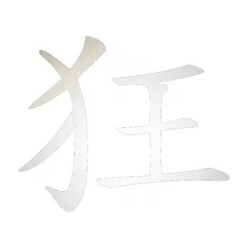 Polep vozidla SAMOLEPKA Čínský znak Crazy (82 - odrazková reflexní bílá) NA AUTO, NÁLEPKA, FÓLIE, POLEP, TUNING, VLASTNÍ TEXT, TISK, AUTOSAMOLEPKY.cz, POLEPY, OBRÁZEK, LOGO, SAMOLEPKY