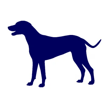 Polep vozidla SAMOLEPKA Pes 095 levá Dalmatin (23 - tmavě modrá) NA AUTO, NÁLEPKA, FÓLIE, POLEP, TUNING, VLASTNÍ TEXT, TISK, AUTOSAMOLEPKY.cz, POLEPY, OBRÁZEK, LOGO, SAMOLEPKY