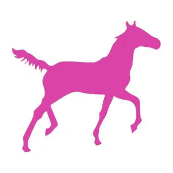 Samolepící dekorace Kůň 011 pravá (16 - růžová) SAMOLEPKA NA AUTO, NÁLEPKA, FÓLIE, POLEP, TUNING, VLASTNÍ TEXT, TISK, AUTOSAMOLEPKY.cz, POLEPY, OBRÁZEK, LOGO, 3D STICKERS