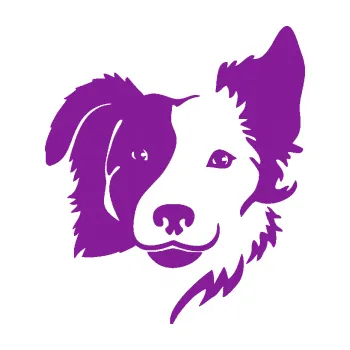 Polep vozidla Pes 099 pravá Border kolie (14 - fialová) SAMOLEPKA NA AUTO, NÁLEPKA, FÓLIE, POLEP, TUNING, VLASTNÍ TEXT, TISK, AUTOSAMOLEPKY.cz, POLEPY, OBRÁZEK, LOGO, 3D STICKERS