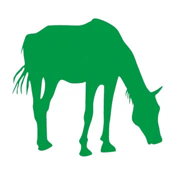 Samolepící dekorace Kůň 008 pravá (12 - zelená) SAMOLEPKA NA AUTO, NÁLEPKA, FÓLIE, POLEP, TUNING, VLASTNÍ TEXT, TISK, AUTOSAMOLEPKY.cz, POLEPY, OBRÁZEK, LOGO, 3D STICKERS